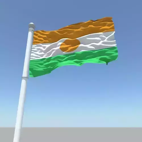 Niger flag
