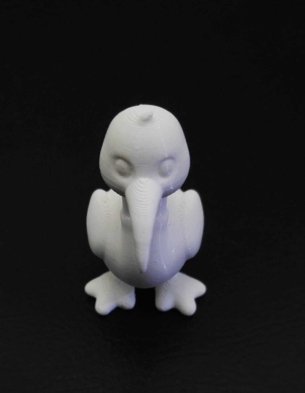 Ibis Bird 3D print model_12