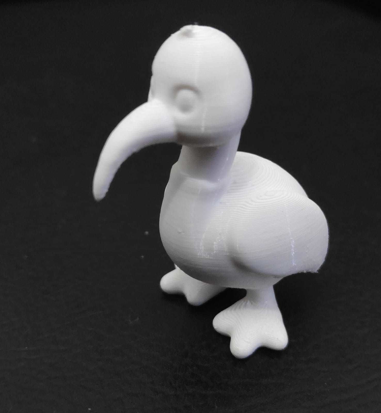 Ibis Bird 3D print model_4