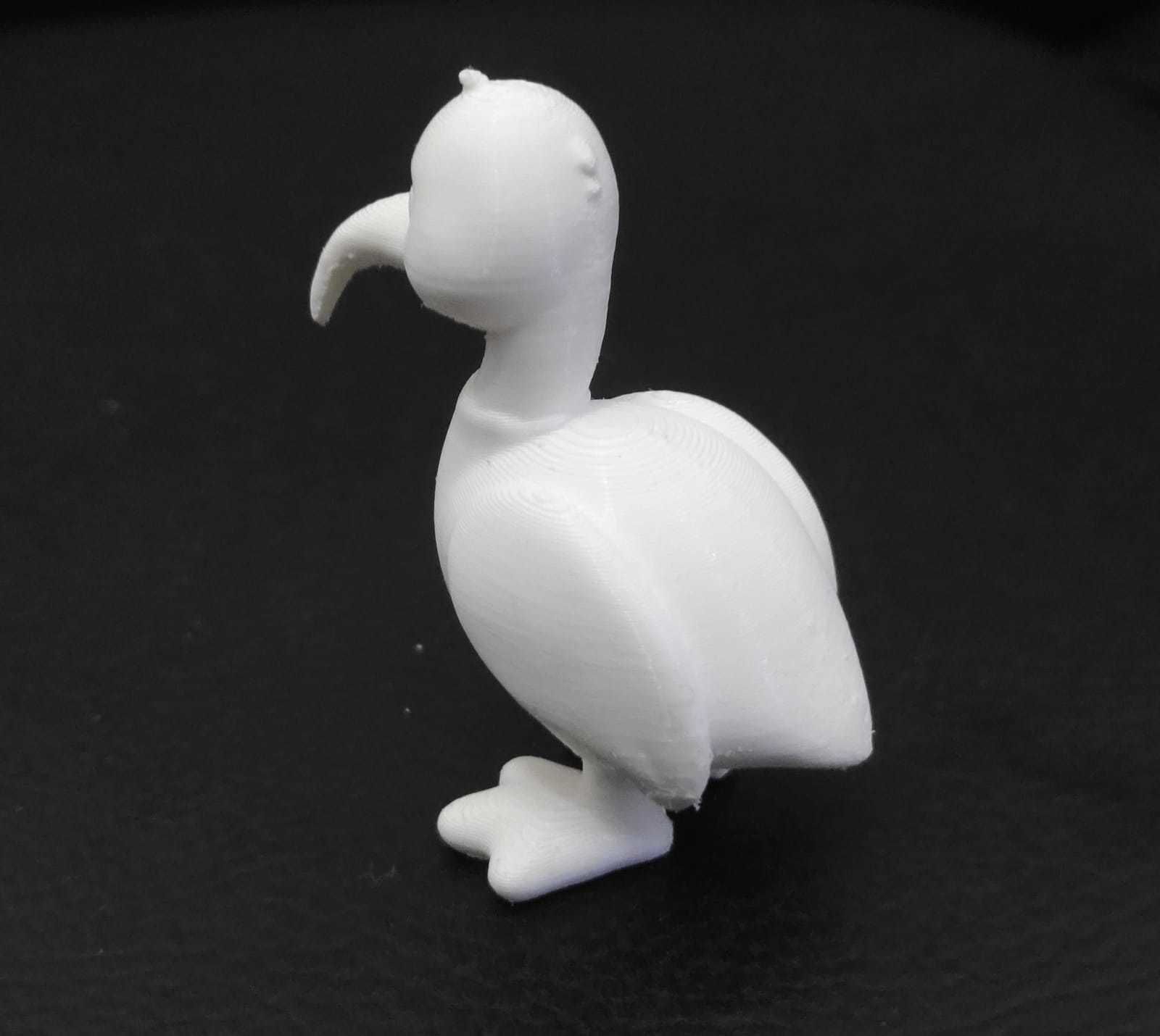Ibis Bird 3D print model_14
