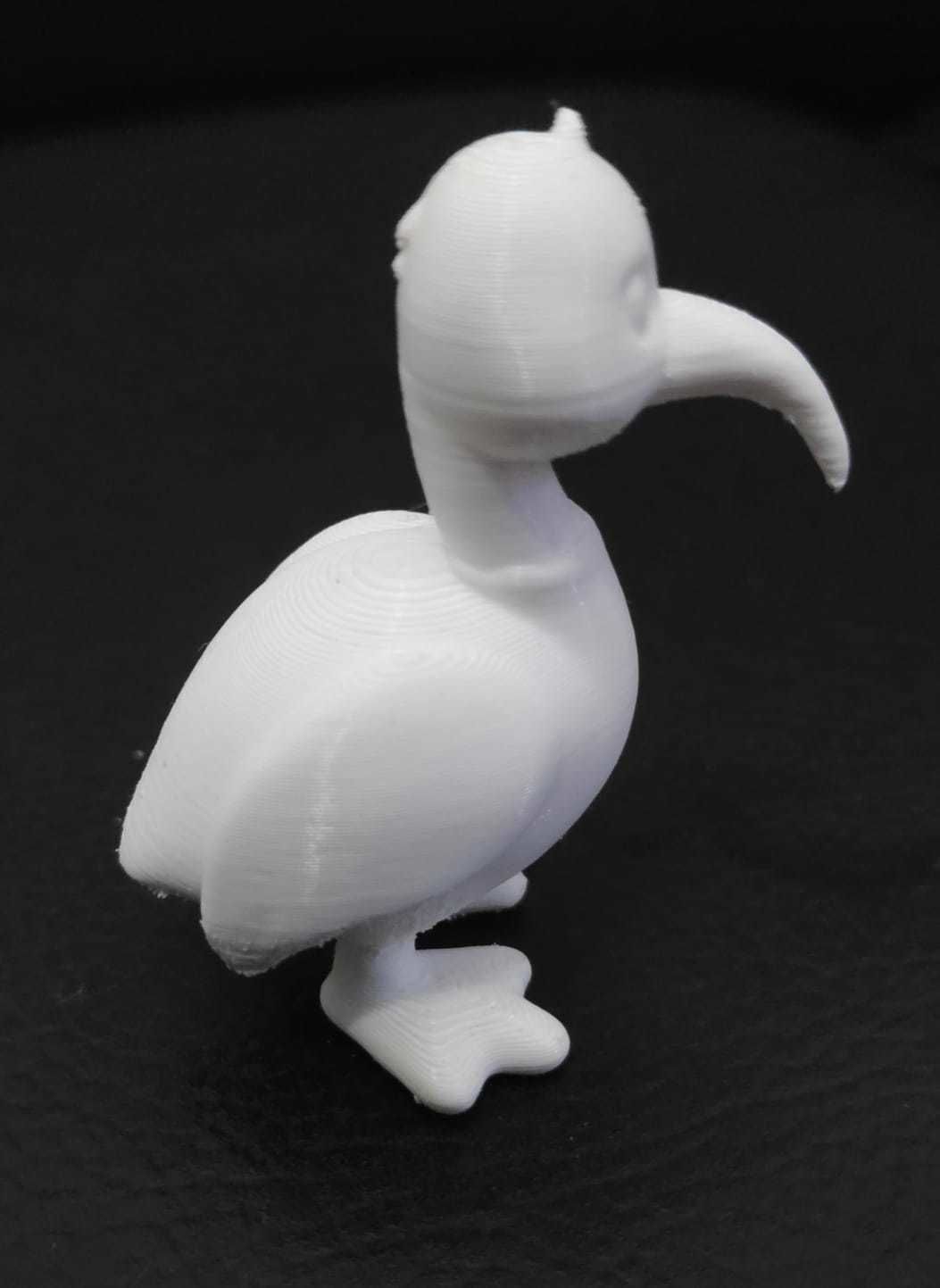 Ibis Bird 3D print model_9