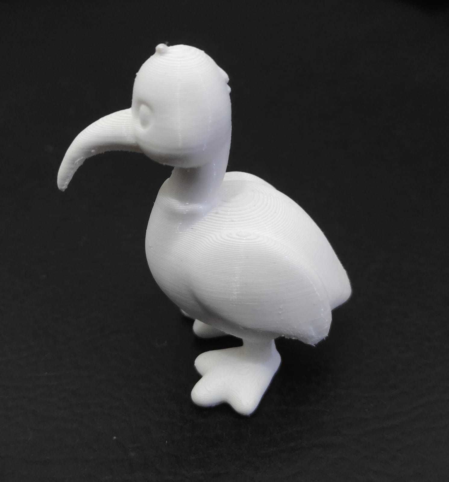 Ibis Bird 3D print model_6