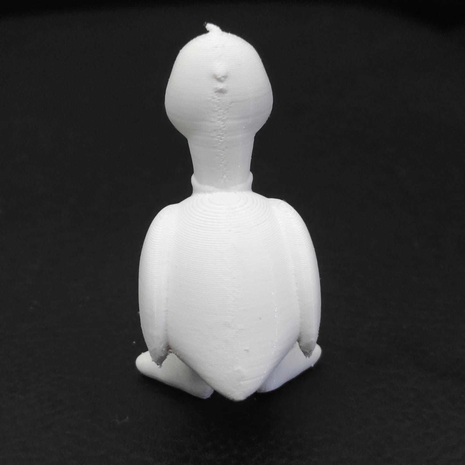 Ibis Bird 3D print model_8
