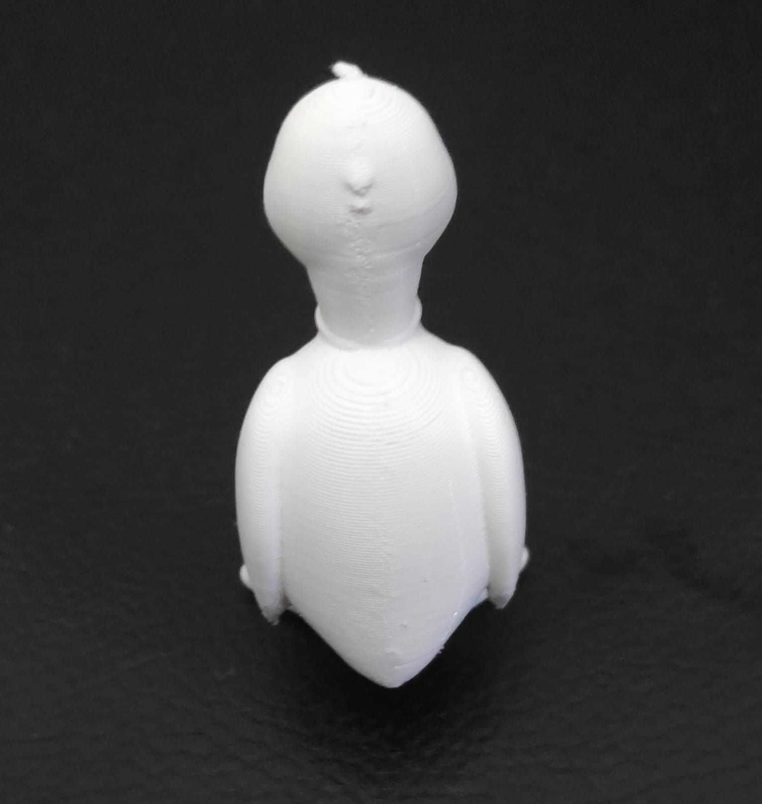 Ibis Bird 3D print model_7