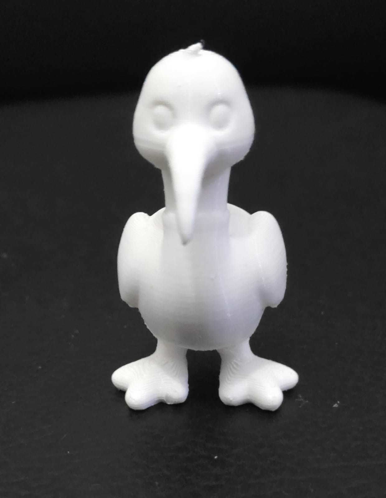 Ibis Bird 3D print model_5