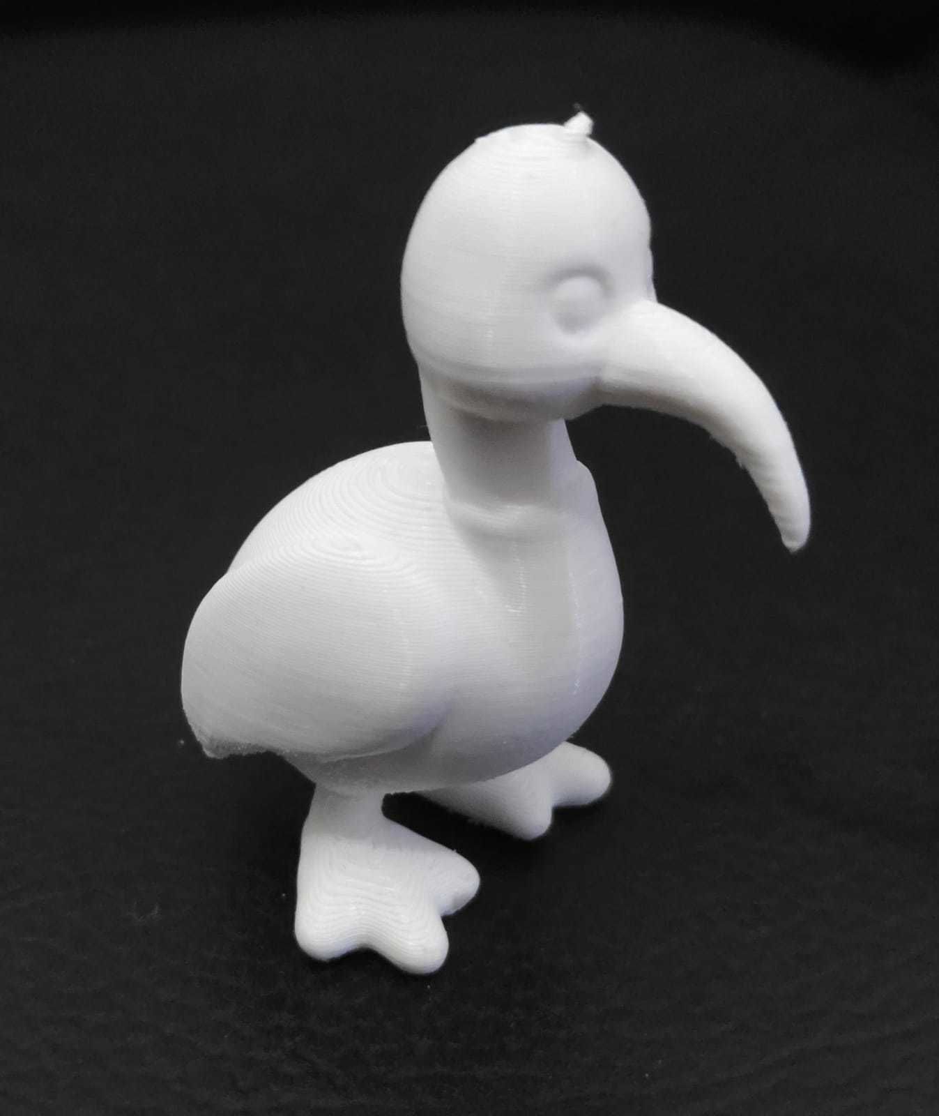 Ibis Bird 3D print model_10