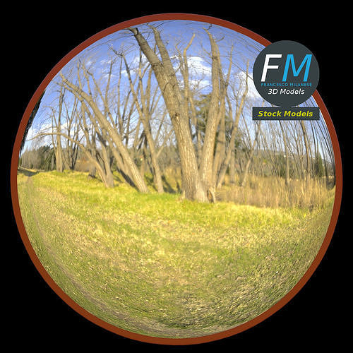 Blind spot traffic mirror 1 3D model 3