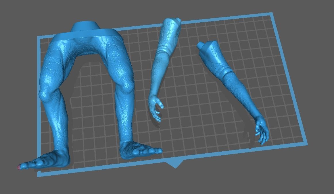 Turgle - Star Wars Jedi Survivor 3d Model  3D print model_2