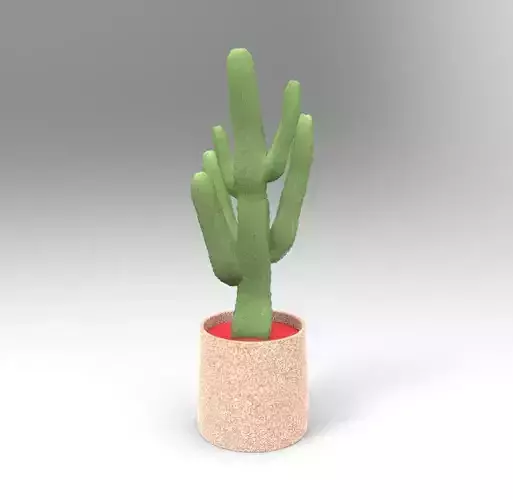 Cactus Plant 3D model