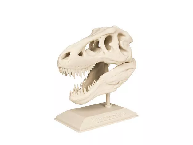 T-Rex Skull 3D print model_0