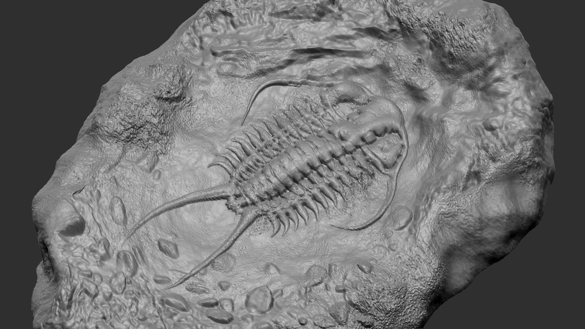 Trilobite Mineral Fossile - Realistic Printable and Keychain 3D print model_6