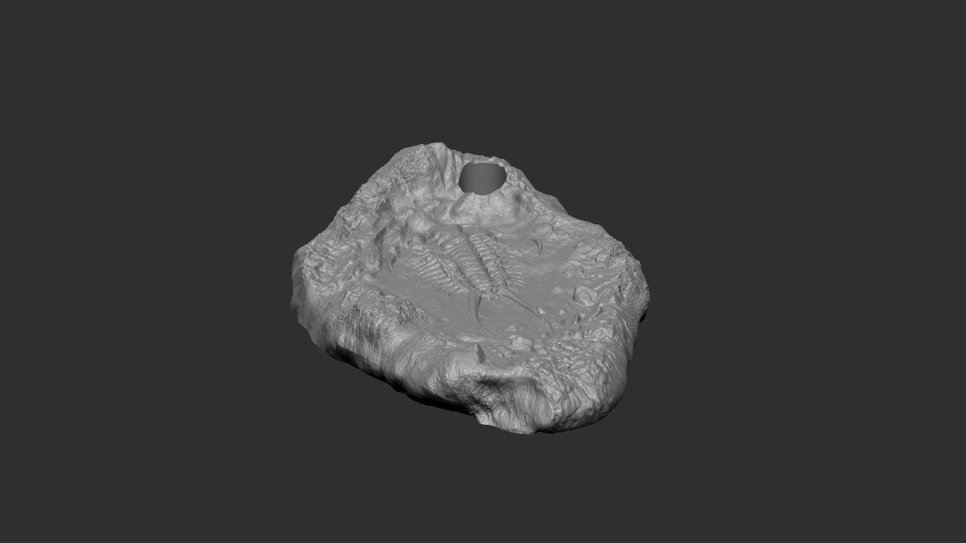 Trilobite Mineral Fossile - Realistic Printable and Keychain 3D print model_2