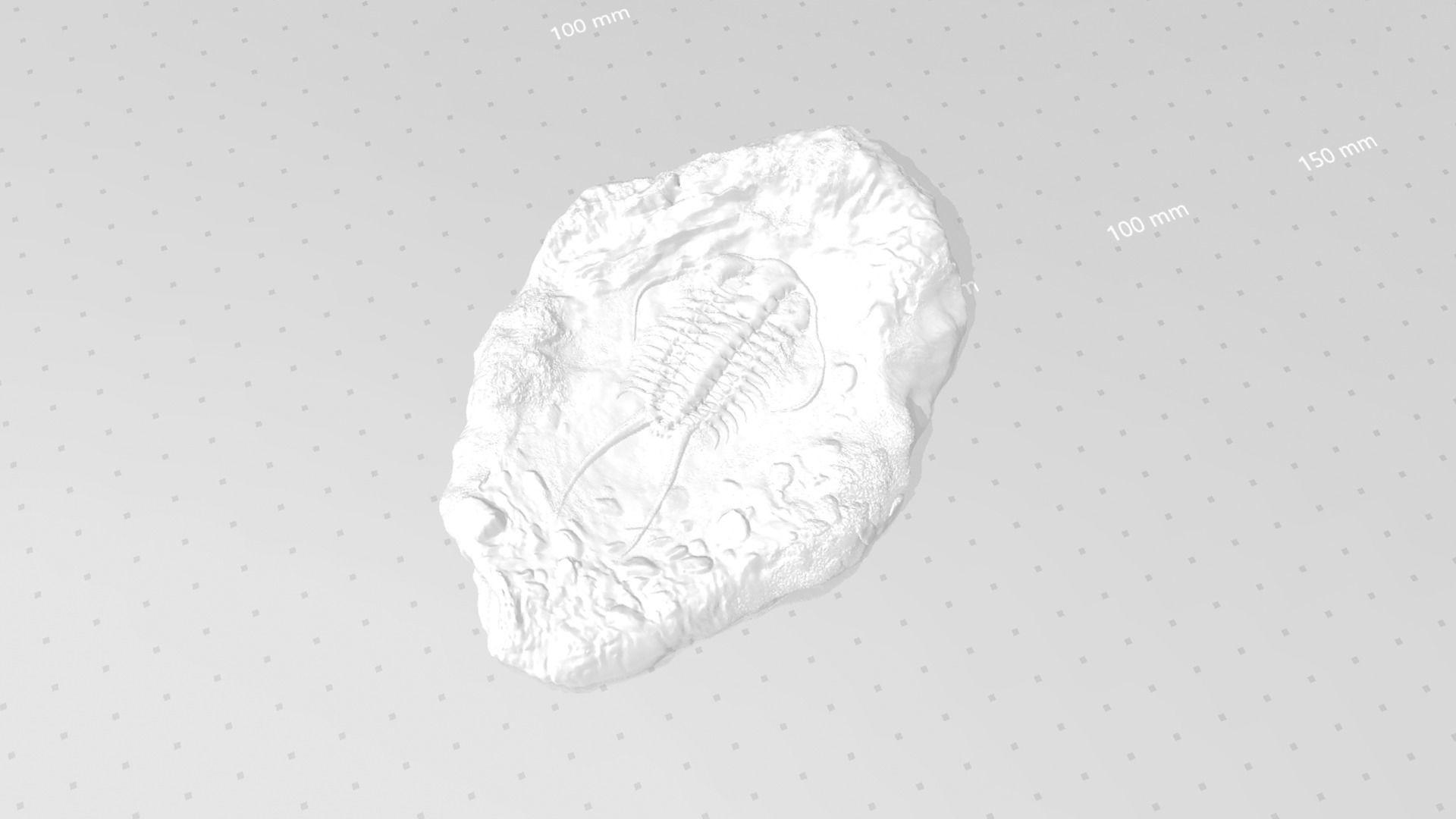 Trilobite Mineral Fossile - Realistic Printable and Keychain 3D print model_13