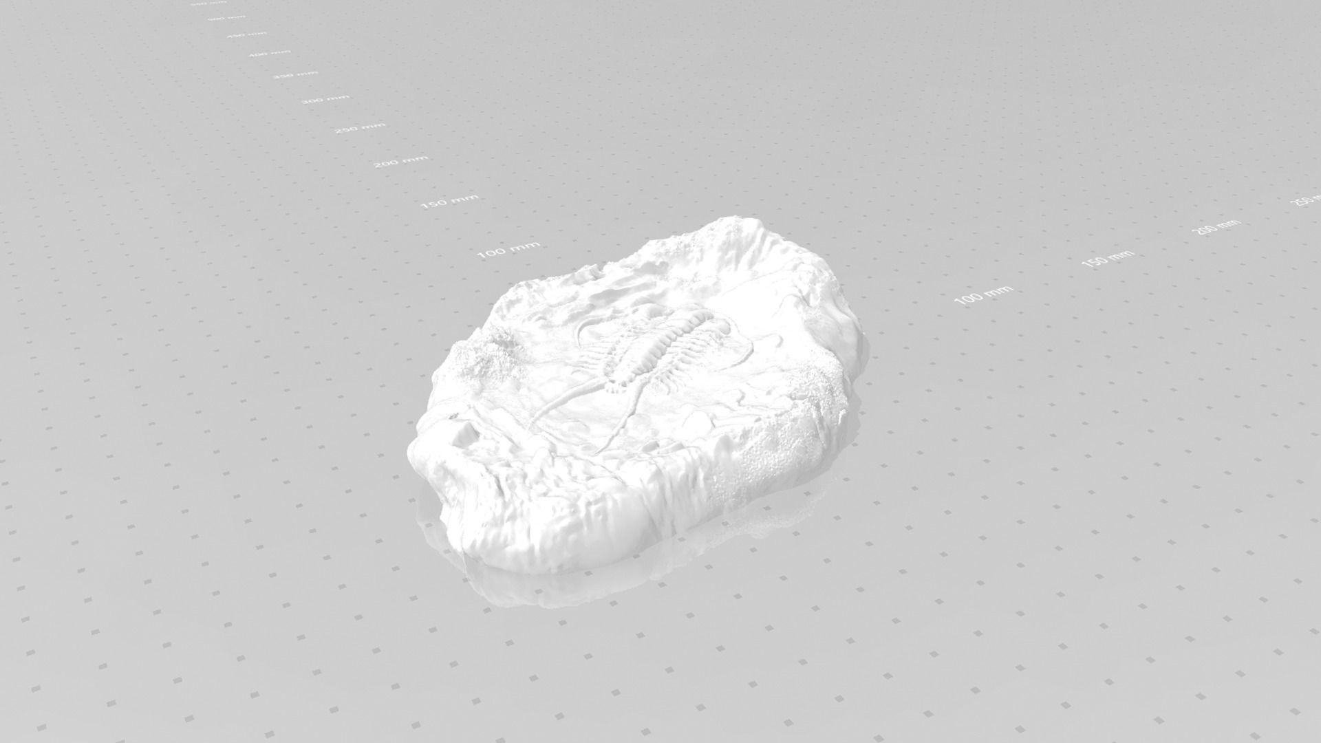 Trilobite Mineral Fossile - Realistic Printable and Keychain 3D print model_14