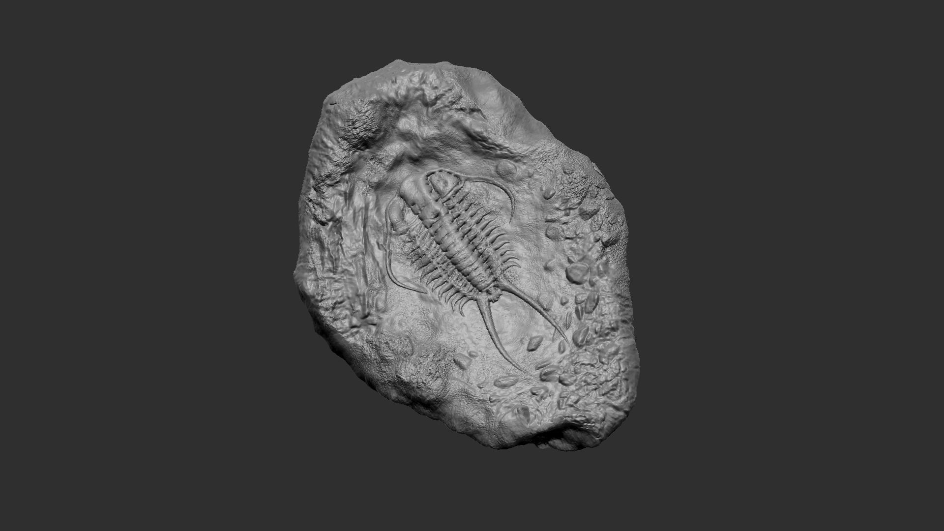 Trilobite Mineral Fossile - Realistic Printable and Keychain 3D print model_7