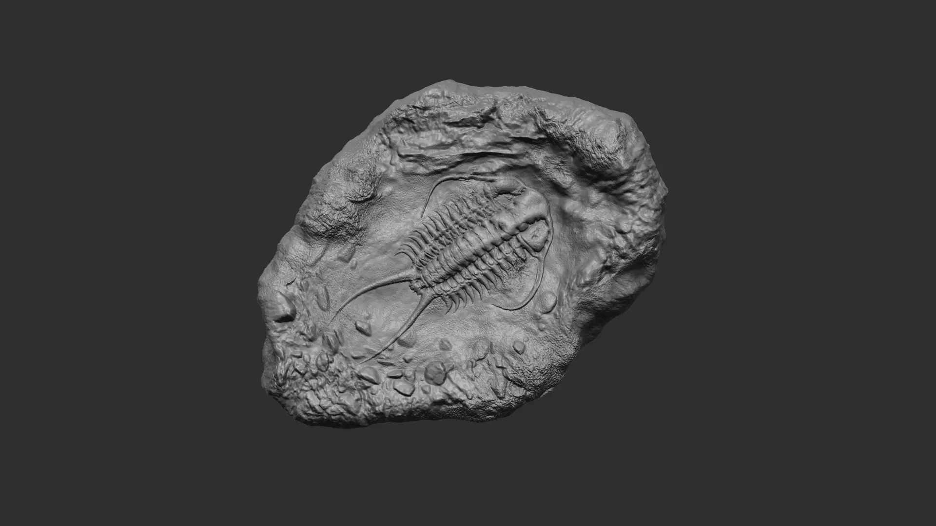 Trilobite Mineral Fossile - Realistic Printable and Keychain 3D print model_0