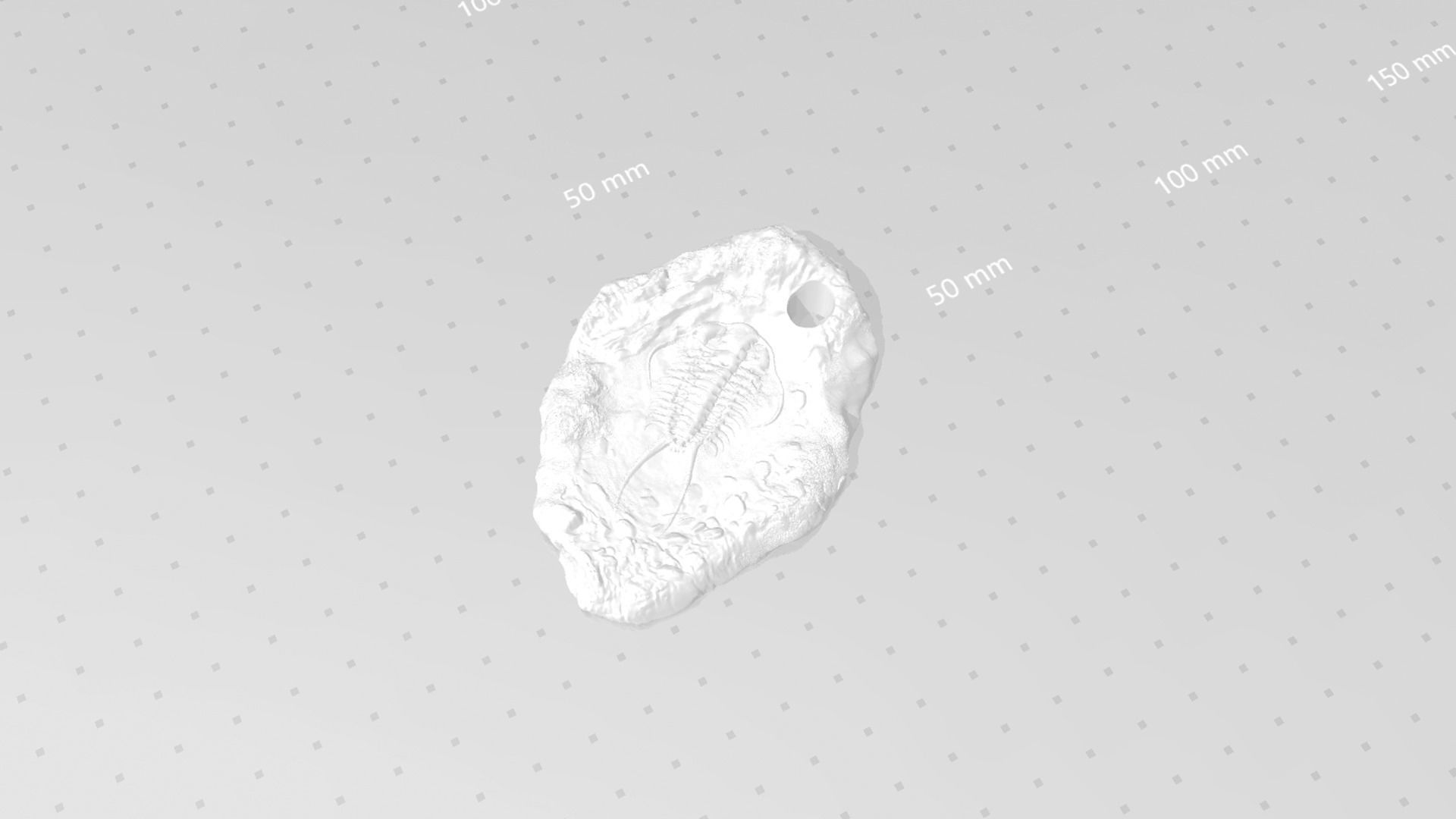 Trilobite Mineral Fossile - Realistic Printable and Keychain 3D print model_16