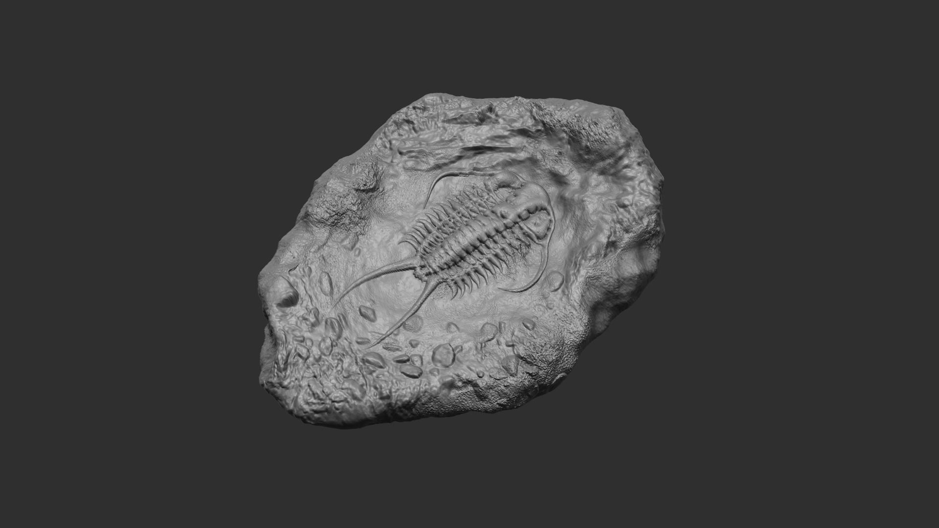 Trilobite Mineral Fossile - Realistic Printable and Keychain 3D print model_1