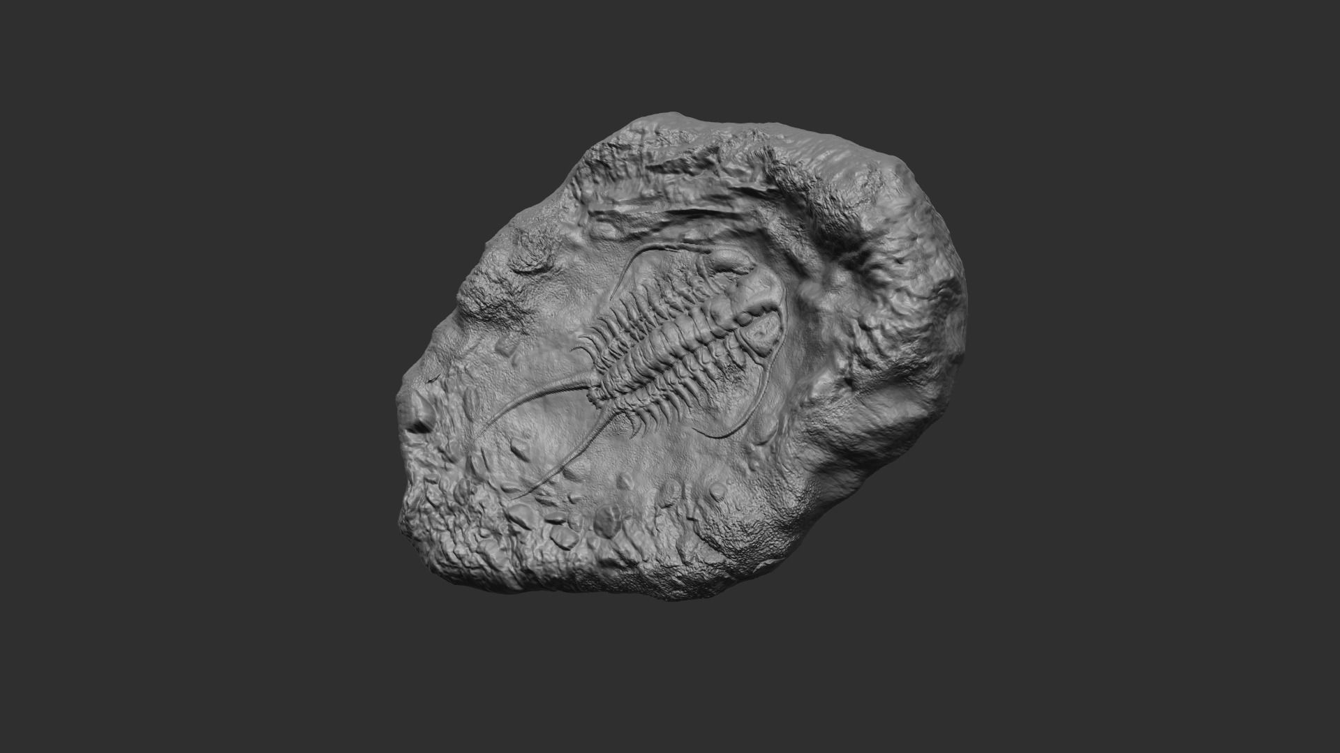 Trilobite Mineral Fossile - Realistic Printable and Keychain 3D print model_3