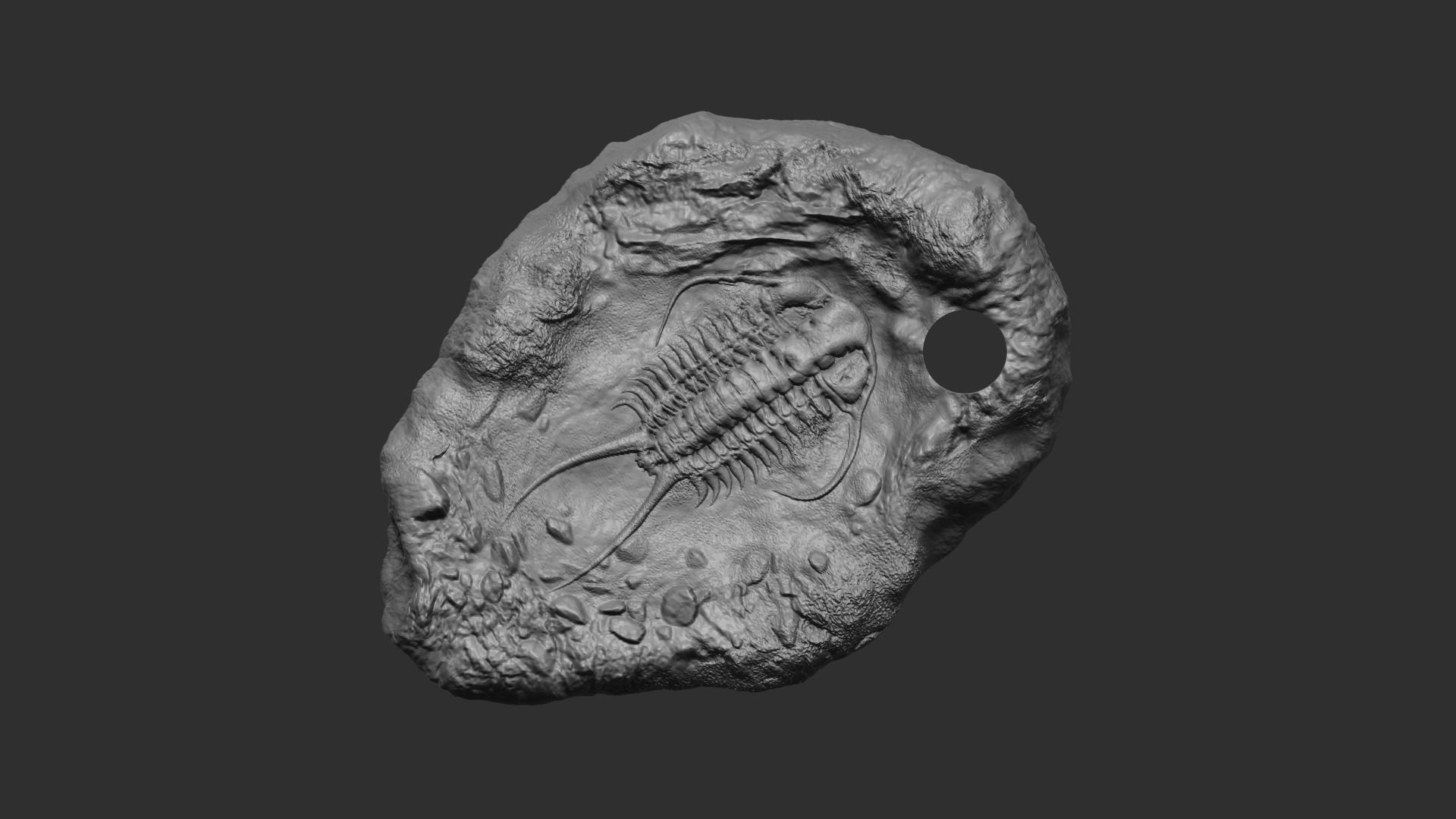 Trilobite Mineral Fossile - Realistic Printable and Keychain 3D print model_8