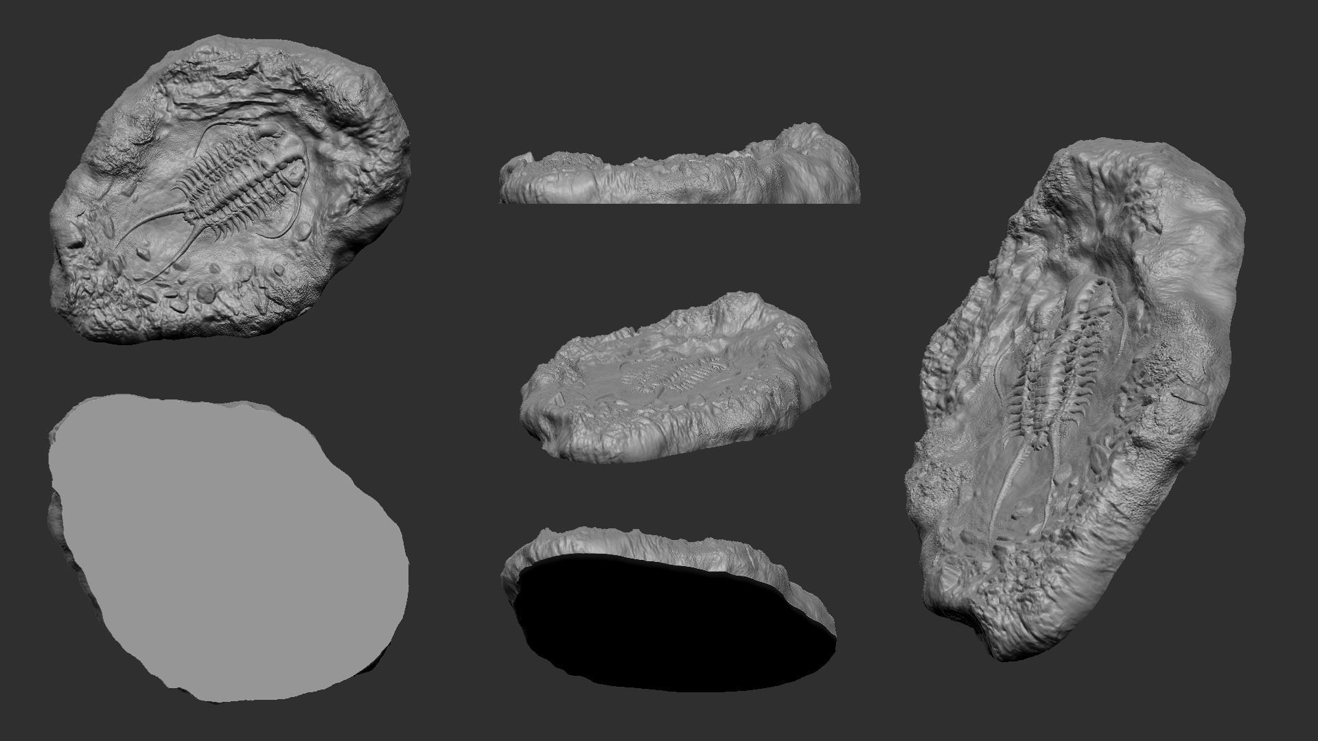 Trilobite Mineral Fossile - Realistic Printable and Keychain 3D print model_5