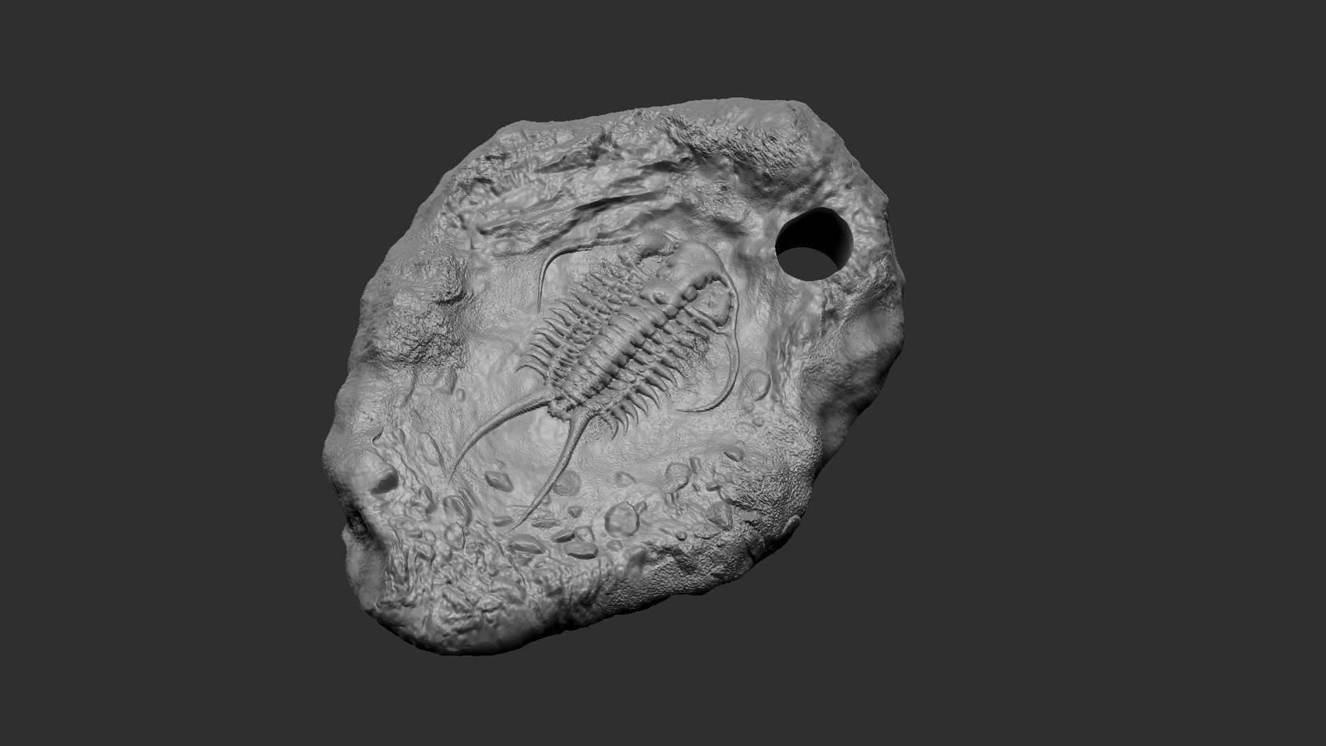 Trilobite Mineral Fossile - Realistic Printable and Keychain 3D print model_9