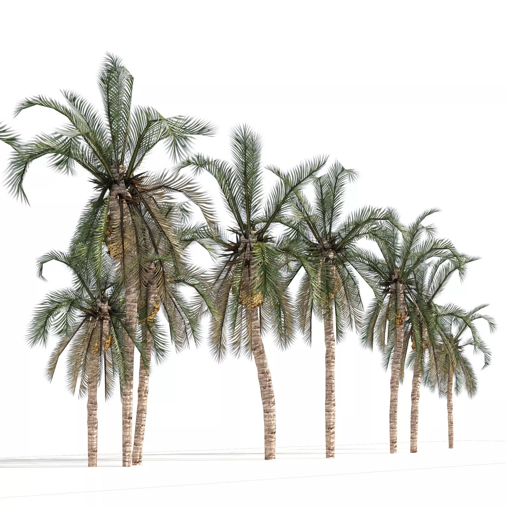 Low Poly Arabic Date palms Low-poly 3D model_0