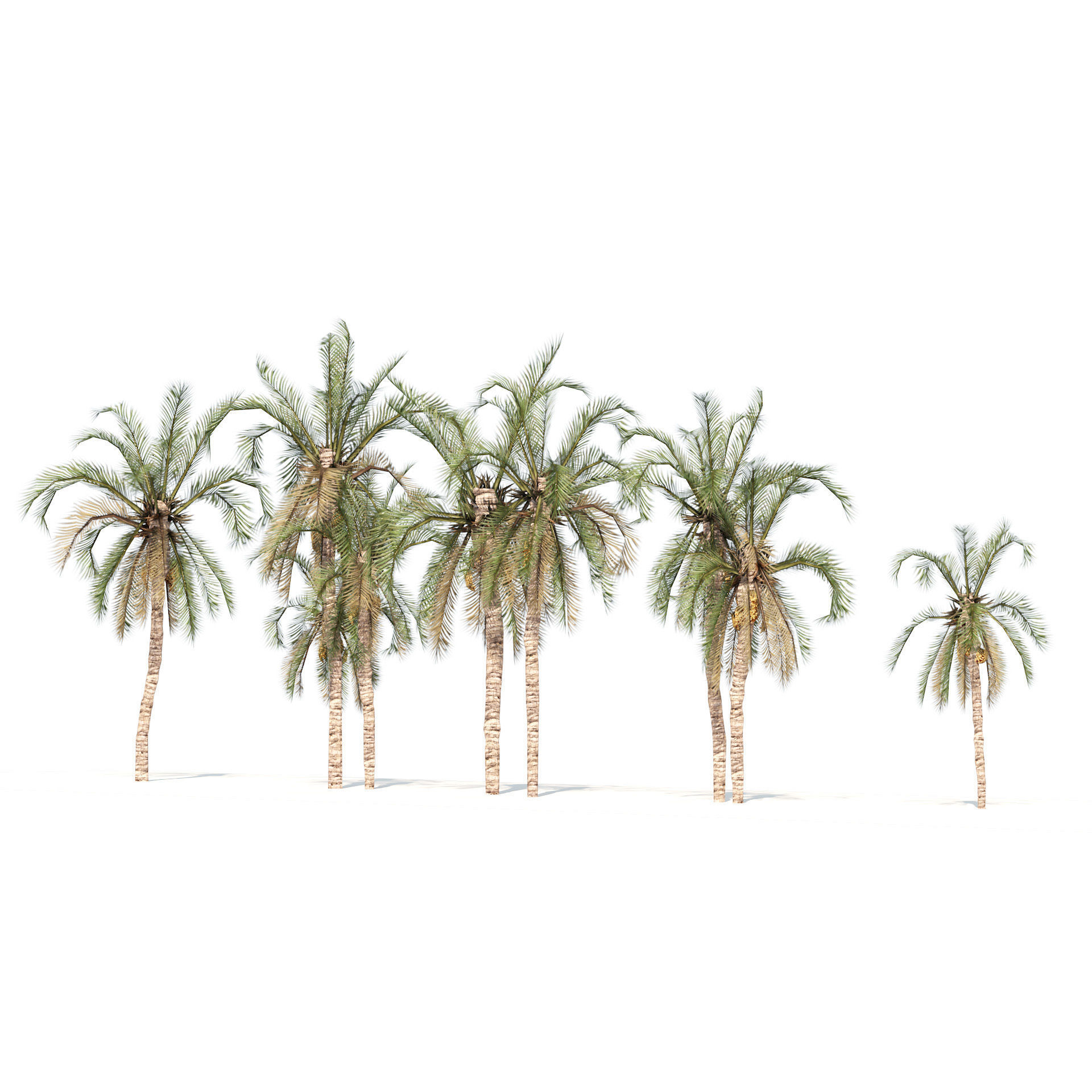 Low Poly Arabic Date palms Low-poly 3D model_5