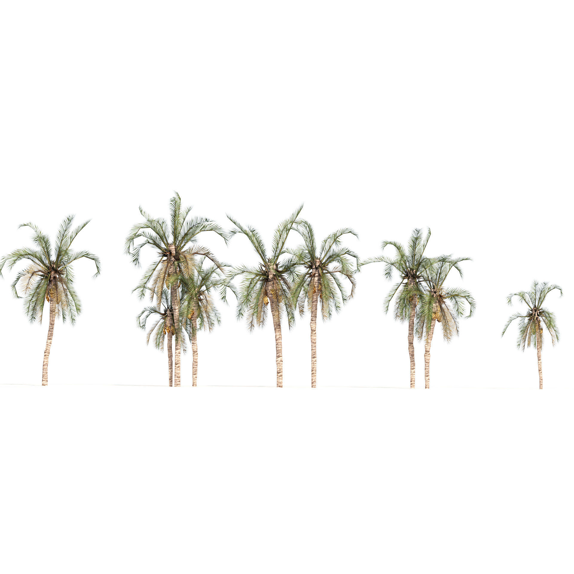 Low Poly Arabic Date palms Low-poly 3D model_4