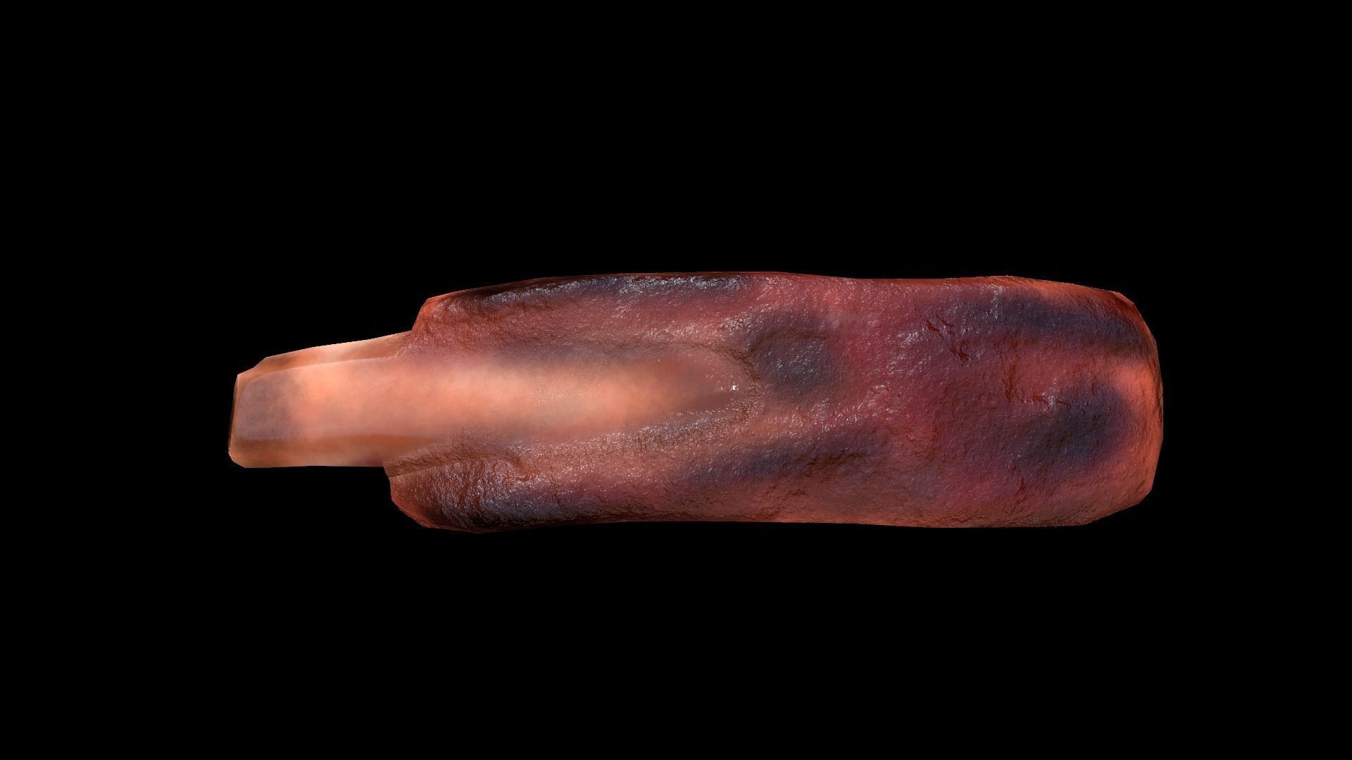 PorkRibsPiece Low-poly 3D model_5