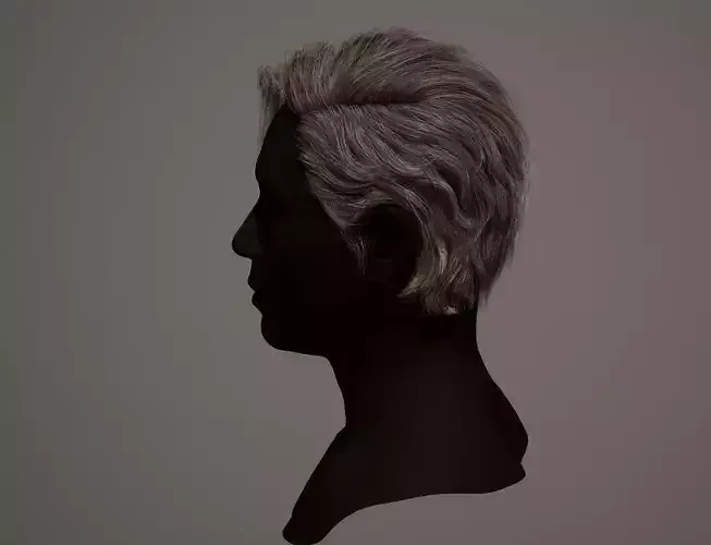 Real time model hair Low-poly 3D model