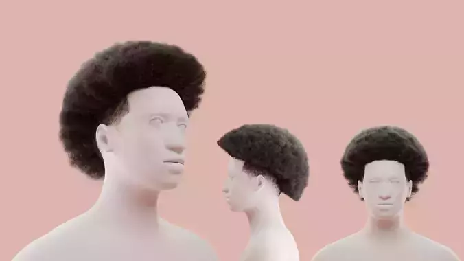 Afro Mullet 3D model