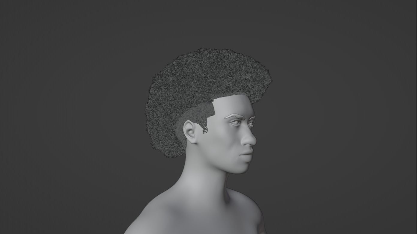 Afro Mullet 3D model_20