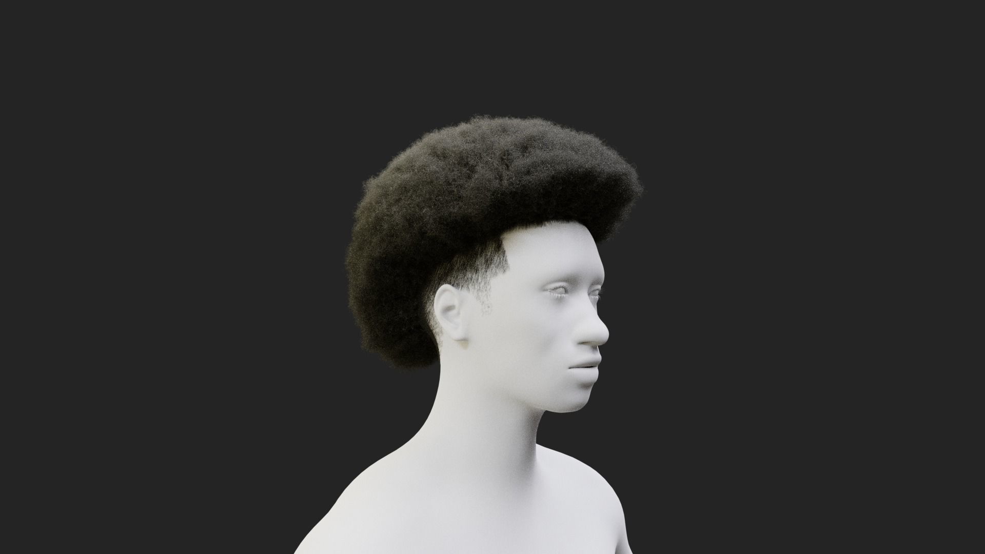 Afro Mullet 3D model_19