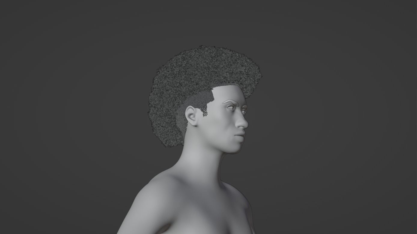 Afro Mullet 3D model_23