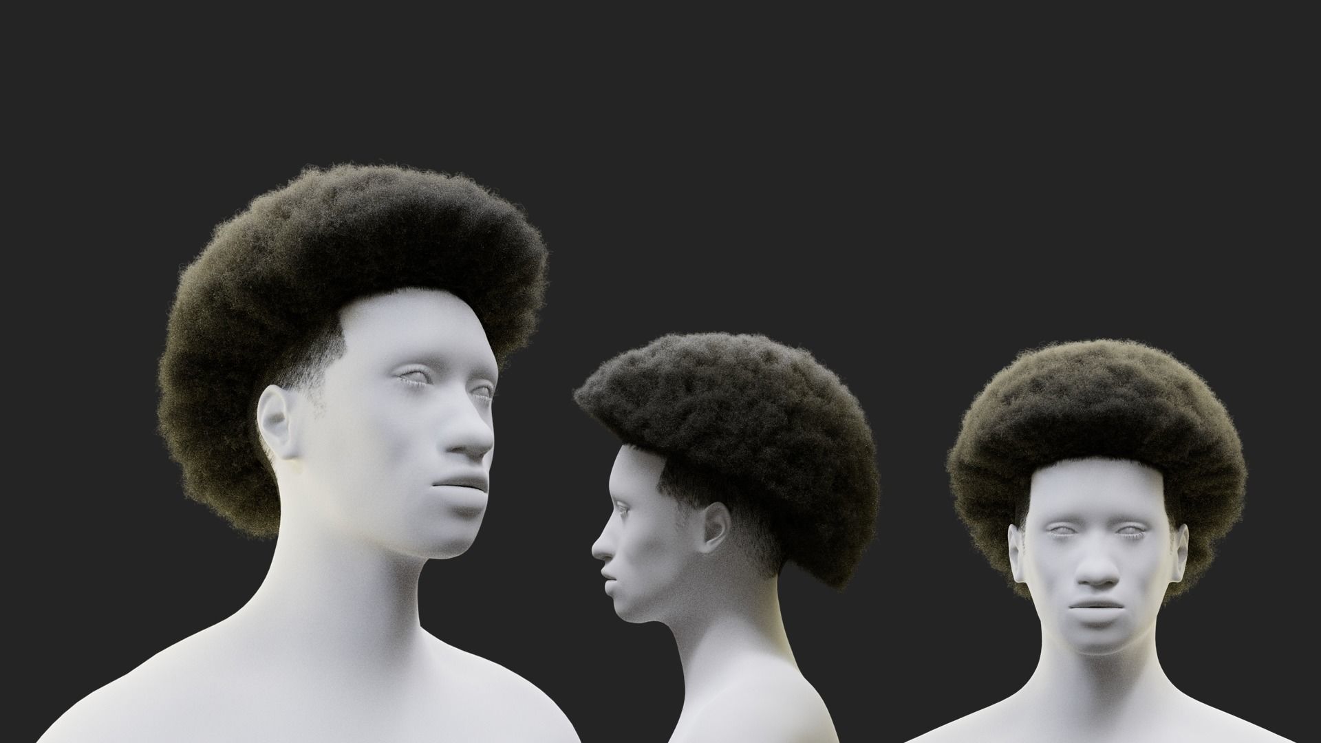 Afro Mullet 3D model_1