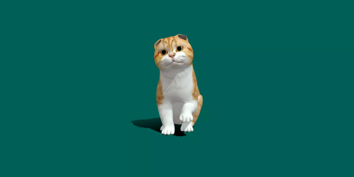 Orange Scottish Fold Cat 3D model_0