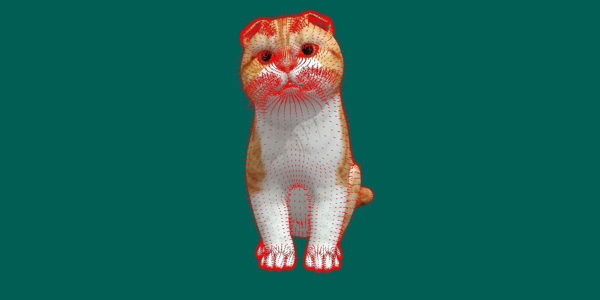 Orange Scottish Fold Cat 3D model_12