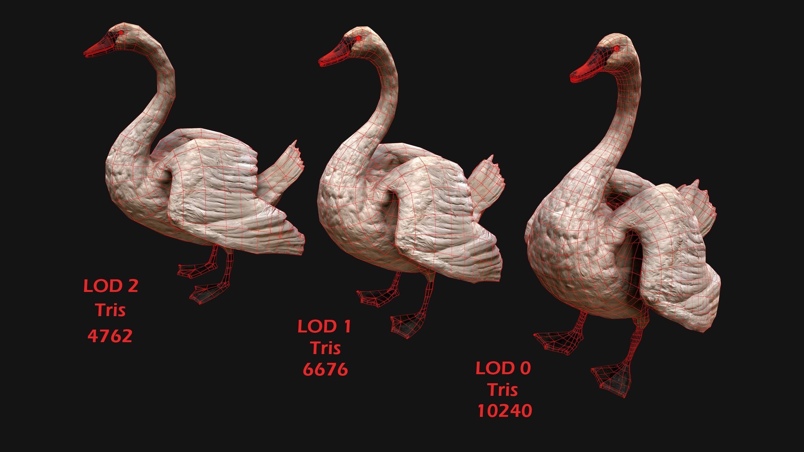 Birds set  Swan Ducks Pheasant Low-poly 3D model_2