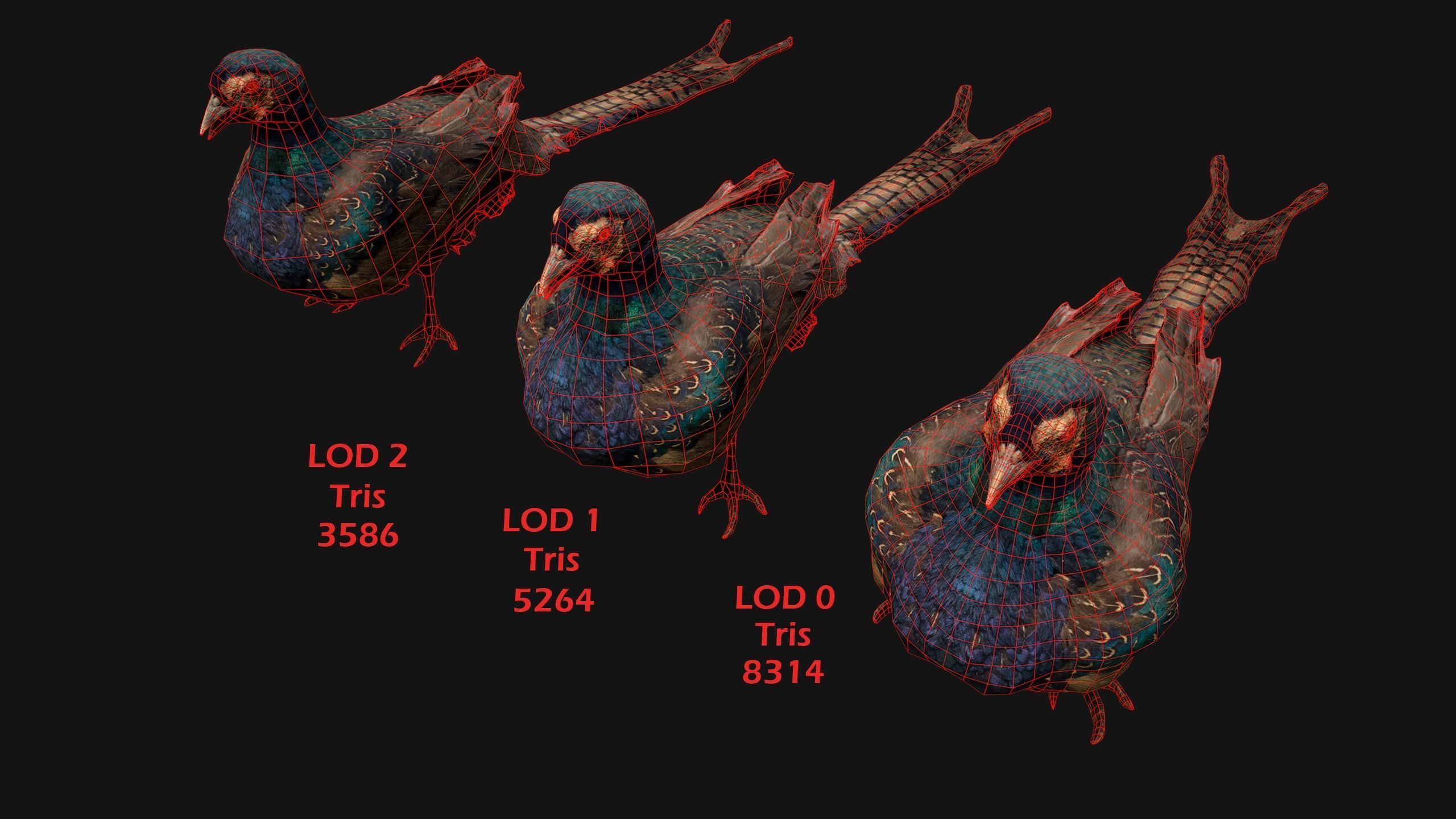 Birds set  Swan Ducks Pheasant Low-poly 3D model_4