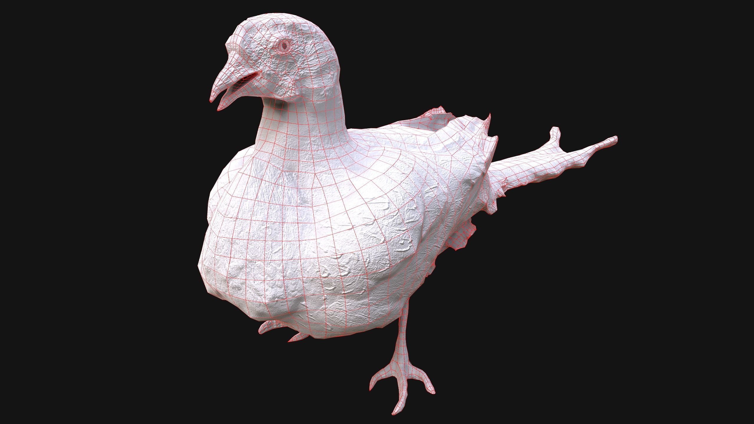 Birds set  Swan Ducks Pheasant Low-poly 3D model_53