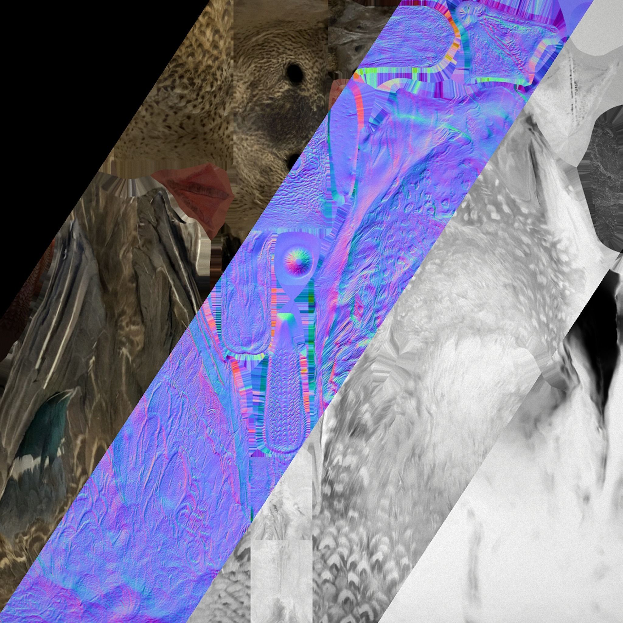 Birds set  Swan Ducks Pheasant Low-poly 3D model_55