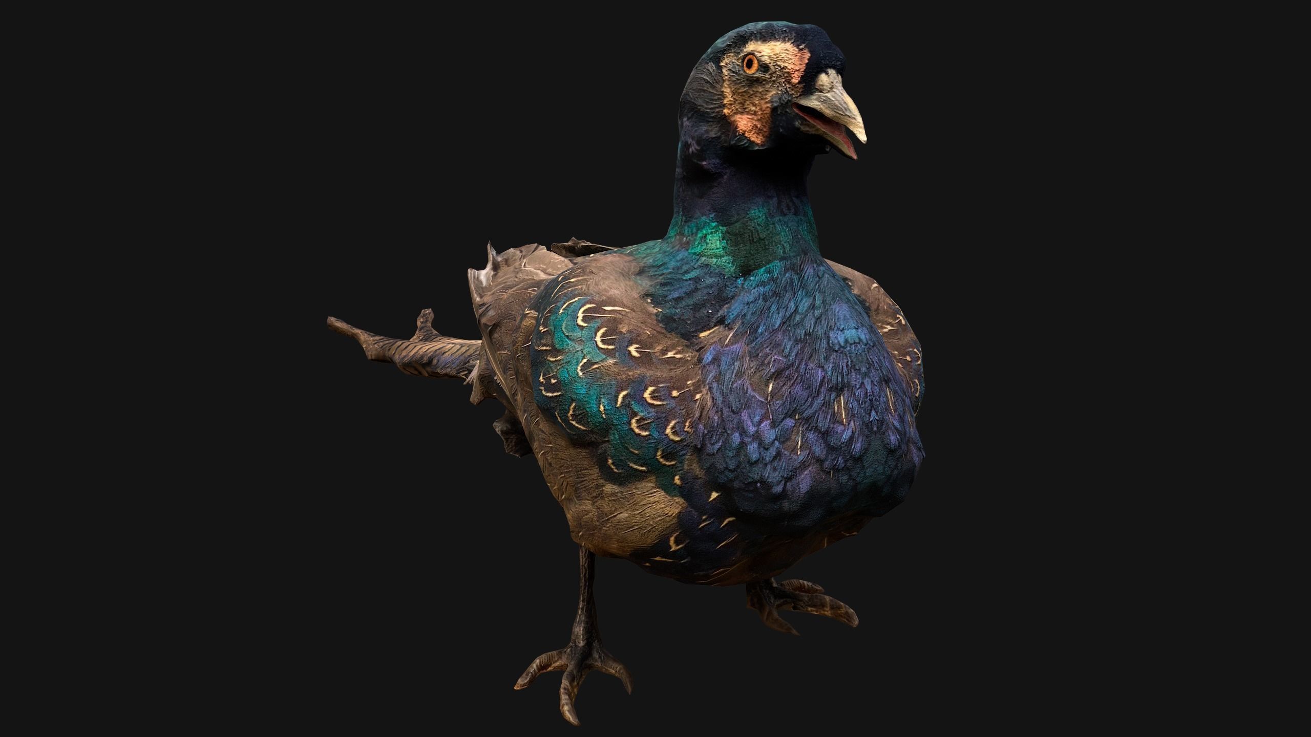 Birds set  Swan Ducks Pheasant Low-poly 3D model_33