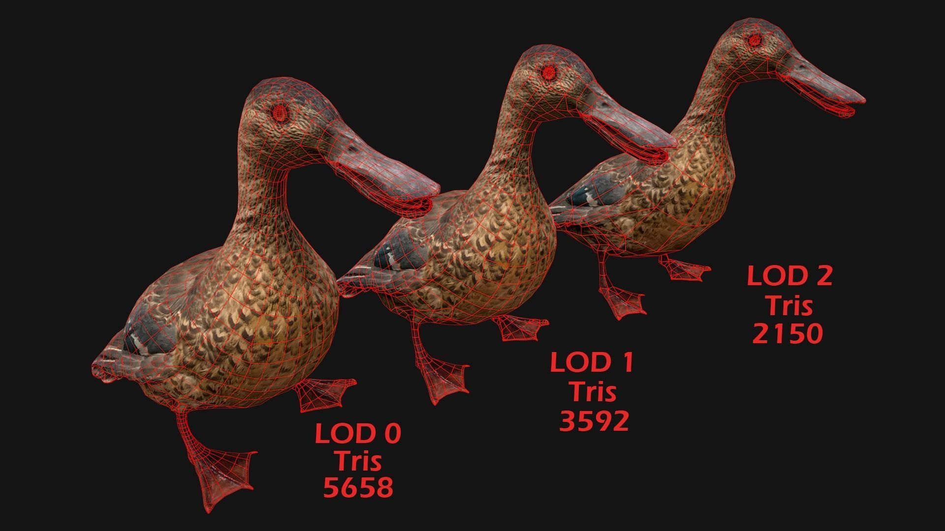 Birds set  Swan Ducks Pheasant Low-poly 3D model_8