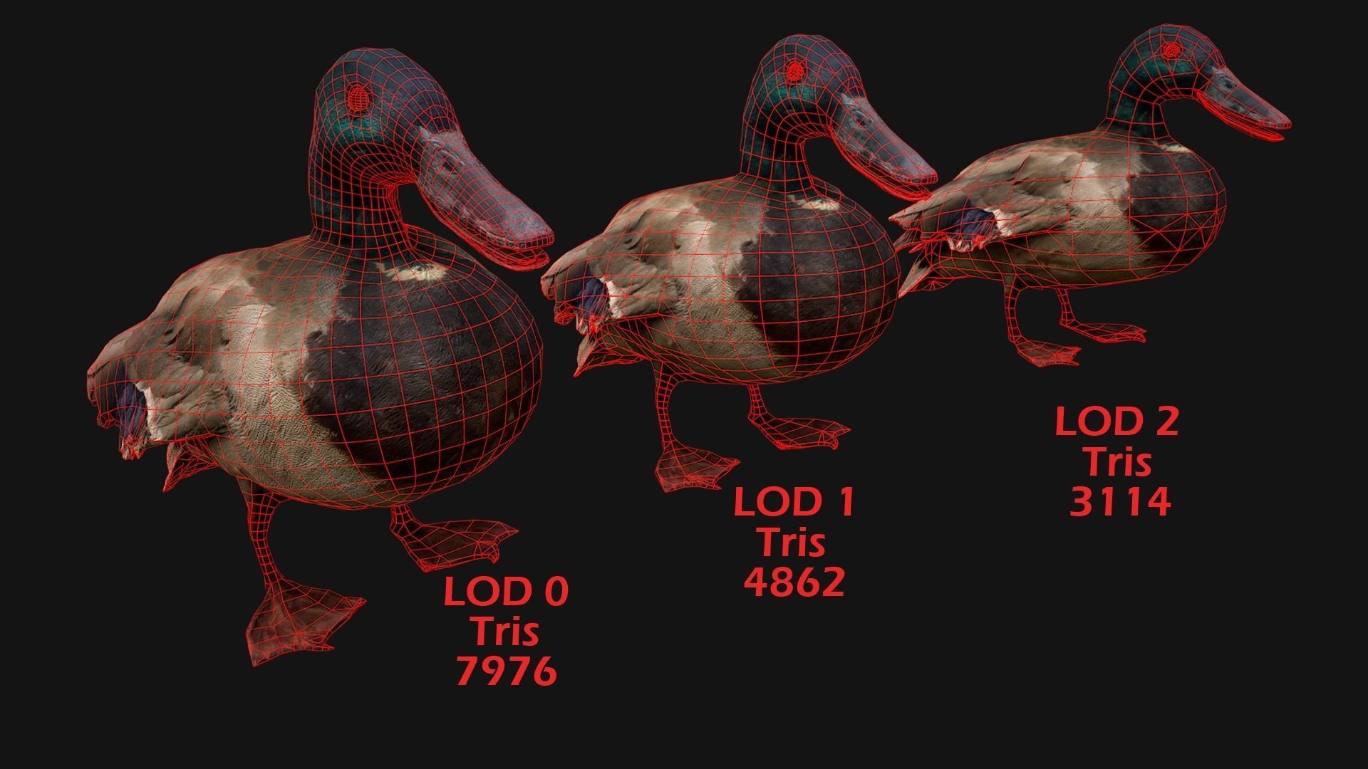 Birds set  Swan Ducks Pheasant Low-poly 3D model_6