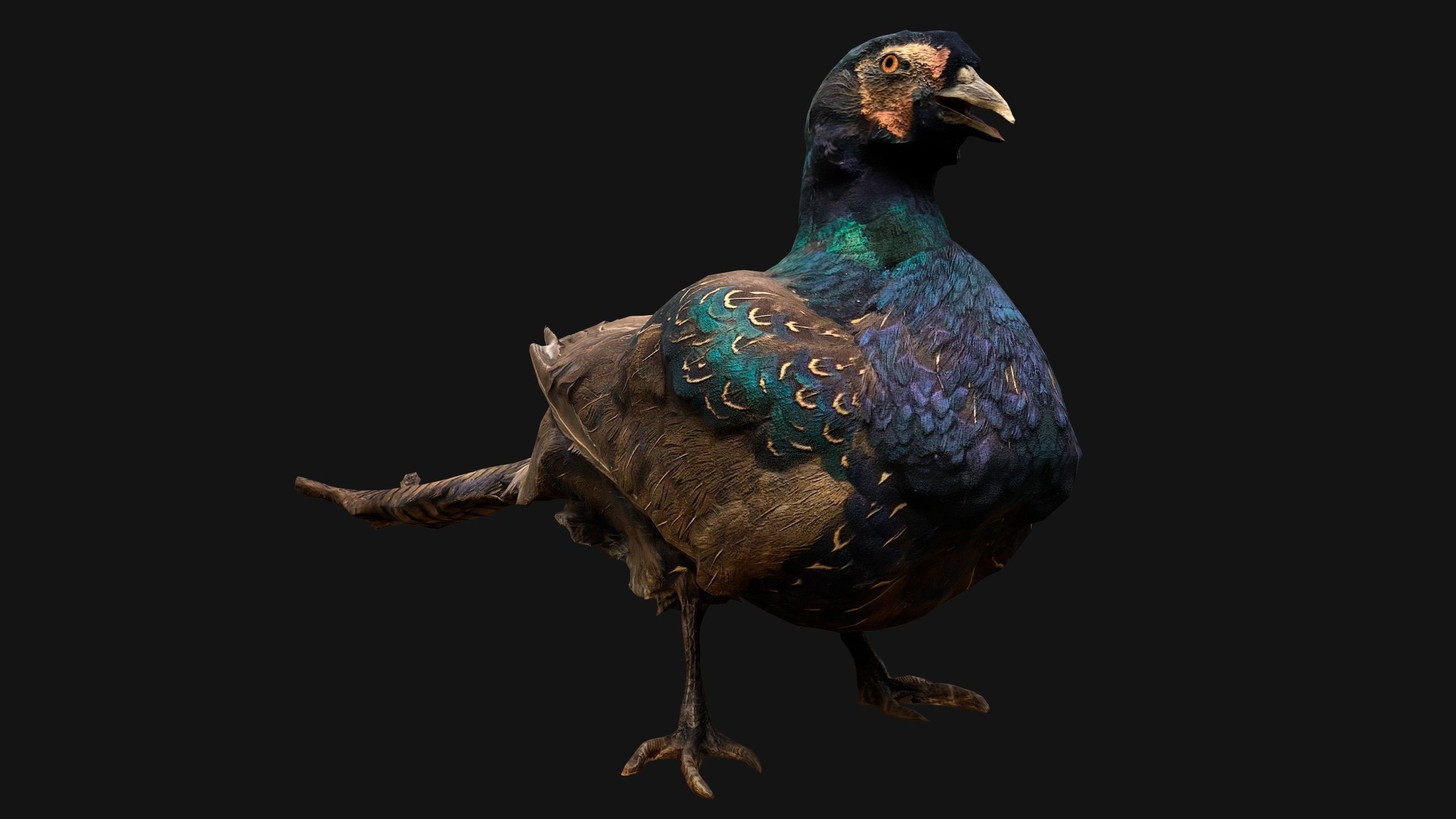 Birds set  Swan Ducks Pheasant Low-poly 3D model_5