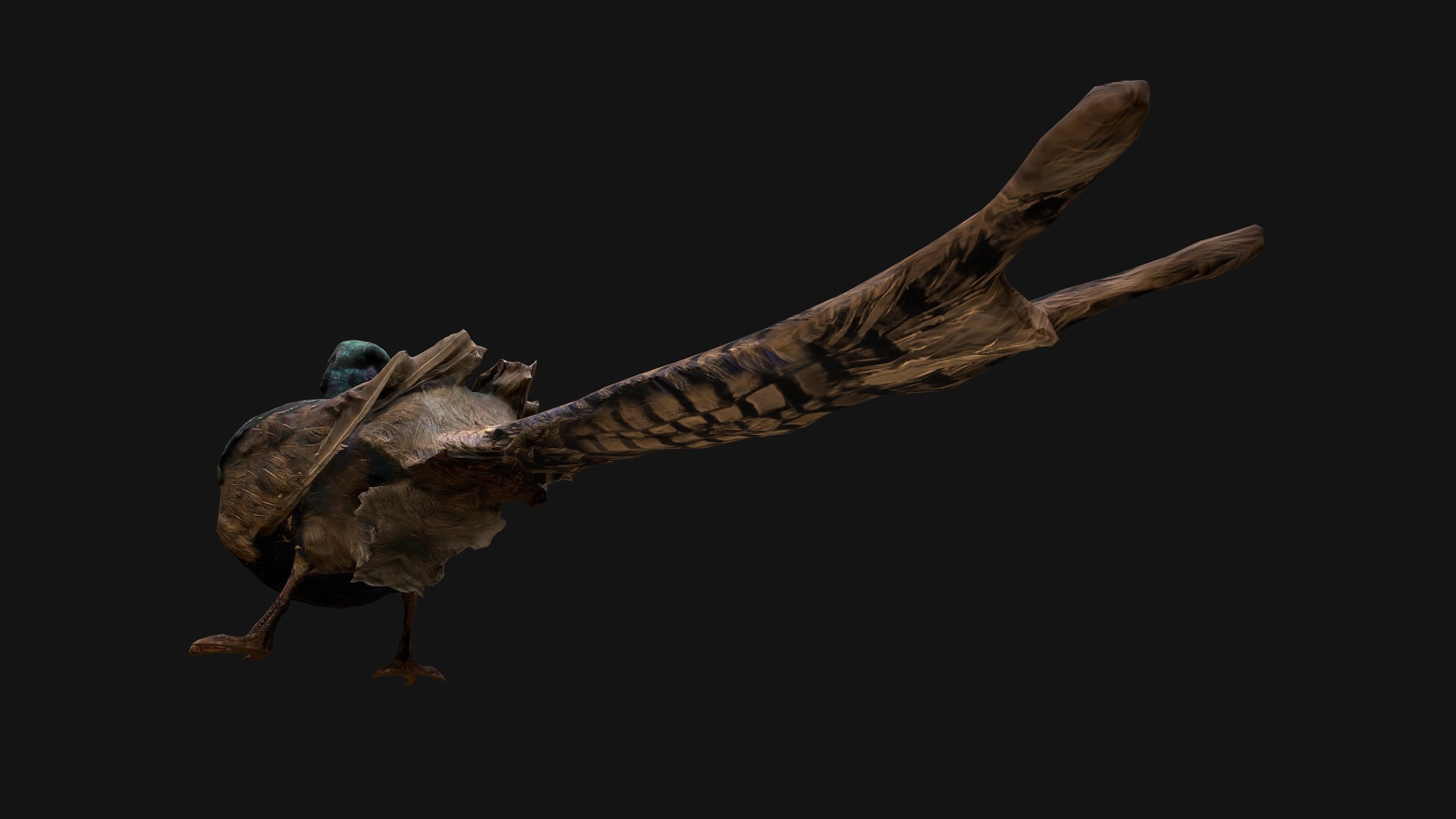 Birds set  Swan Ducks Pheasant Low-poly 3D model_39