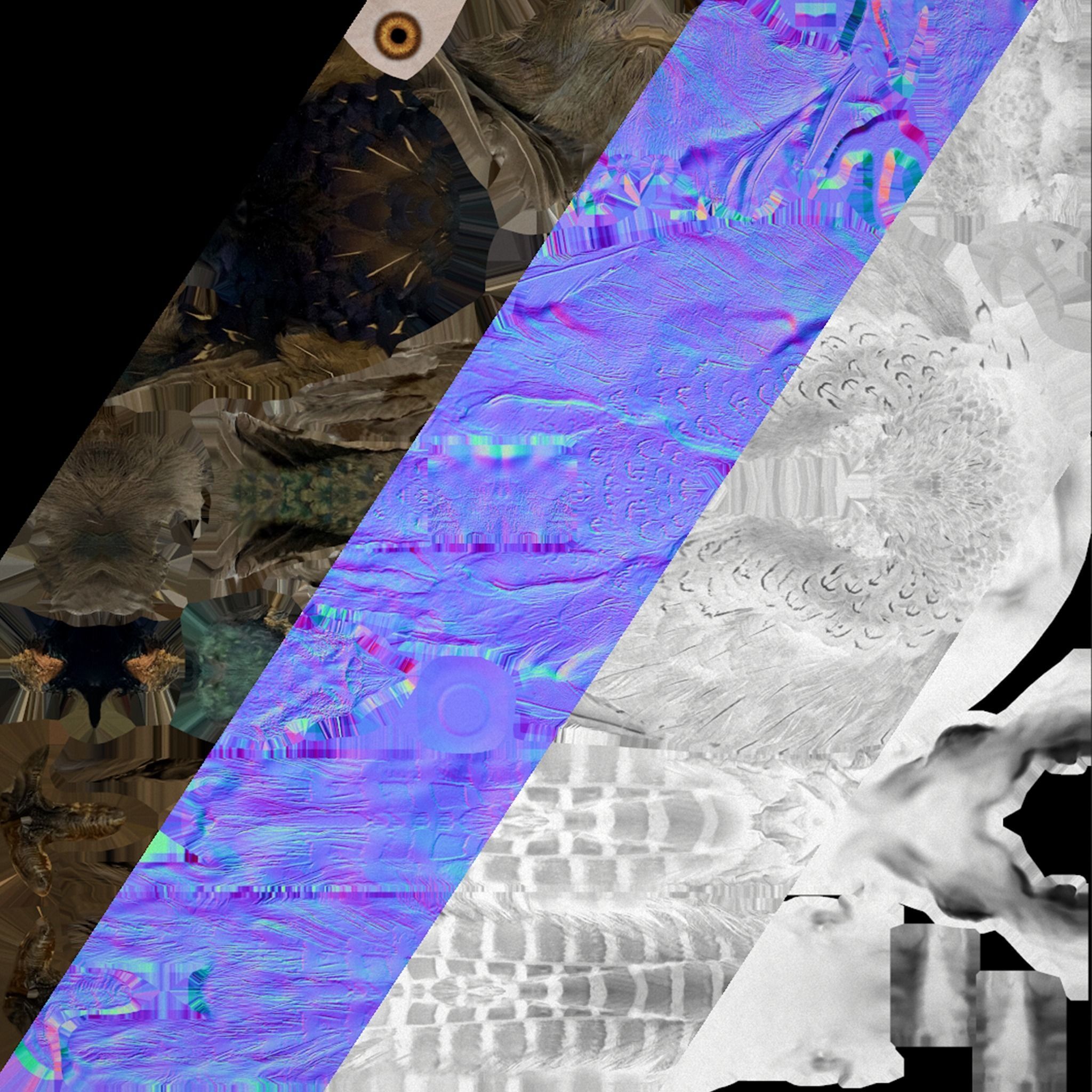 Birds set  Swan Ducks Pheasant Low-poly 3D model_56