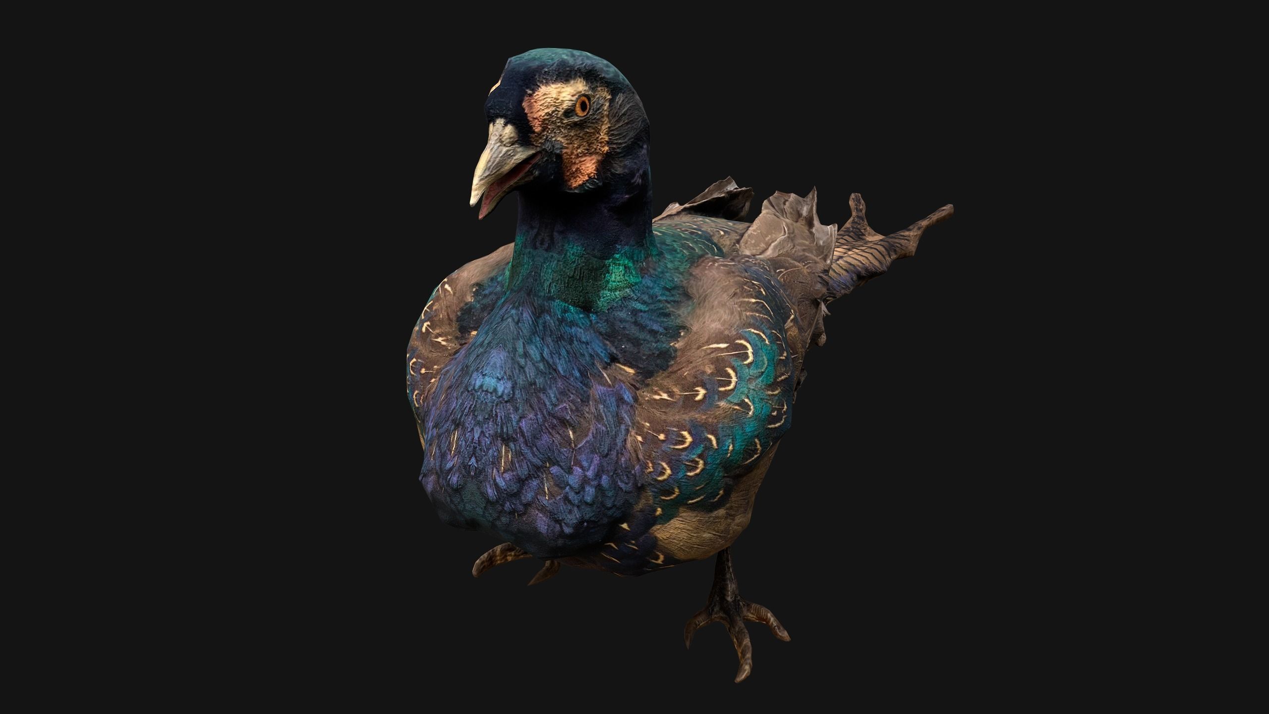 Birds set  Swan Ducks Pheasant Low-poly 3D model_36