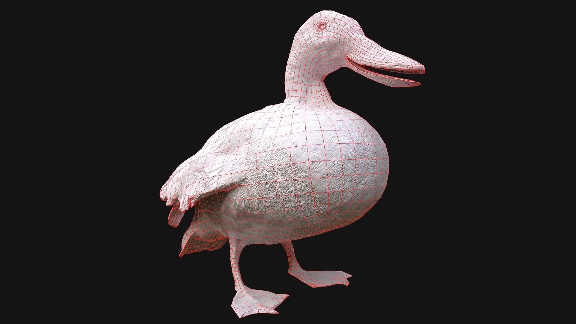 Birds set  Swan Ducks Pheasant Low-poly 3D model_52